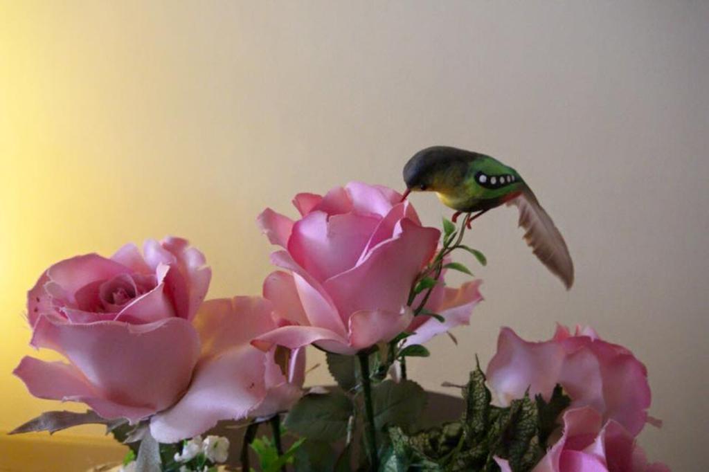 Hotel Lotus 2*